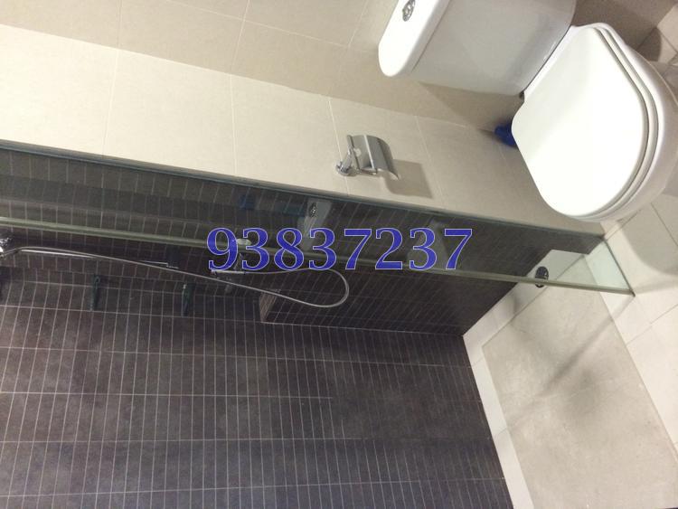 Sommerville Regency (D13), Terrace #87990682